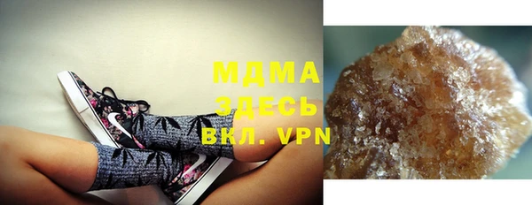гидра Нея