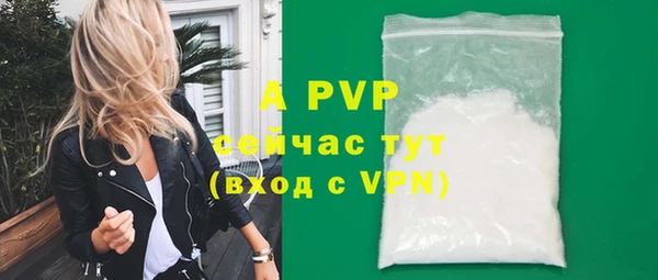 гидра Нея