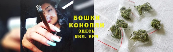 гидра Нея